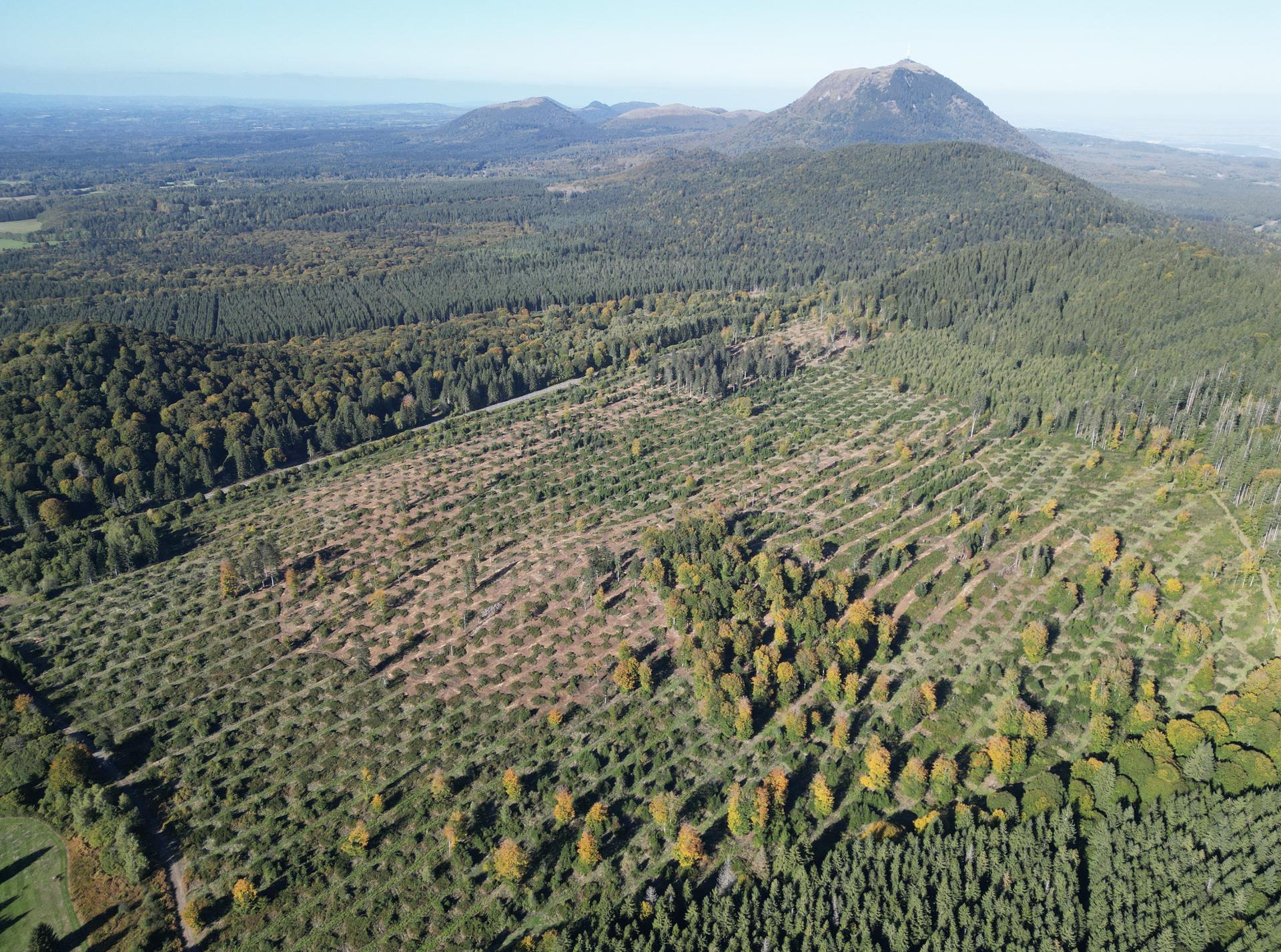 Vue aérienne — Massif Central
